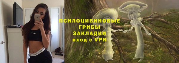 прущие крисы Алексеевка